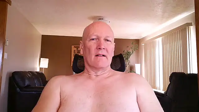 BasicAnt online show from April 2026 02:46:02 PM