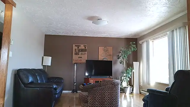 BasicAnt online show from January 2026 05:20:01 PM