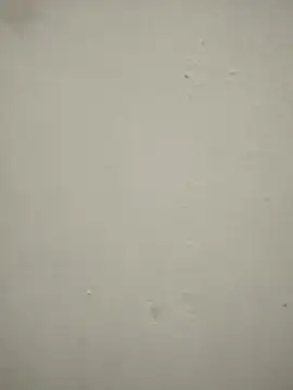 blackjack- online show from November 2025 12:37:02 PM