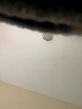 Snapshot of Iced_cloudz chatting on December 2025 03:17:01 PM Iced cloudz online show from December 2025 03:17:01 PM