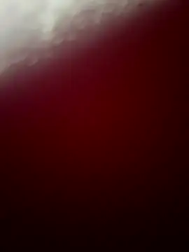 nenissc online show from September 2025 09:31:01 PM