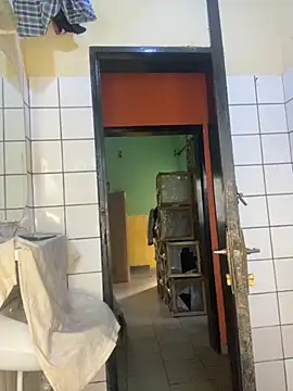 vannycov online show from November 2025 07:44:02 AM