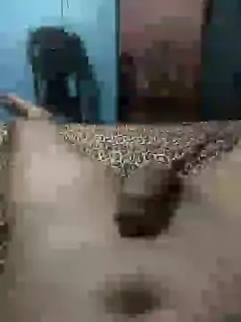 Snapshot of Emanuel45js chatting on March 2025 06:50:01 PM Emanuel45js online show from March 2025 06:50:01 PM