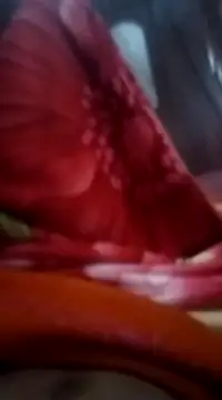 Snapshot of Emanuel45js chatting on February 2025 12:21:01 PM Emanuel45js online show from February 2025 12:21:01 PM