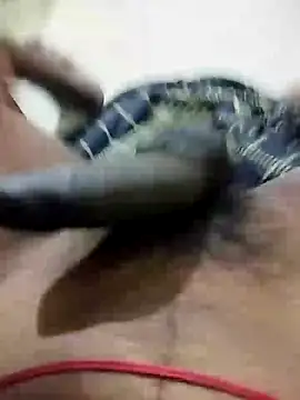 tamil camguy online show from January 2025 04:30:02 AM