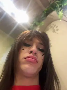 stormytt  online show from January 2026 03:46:01 AM