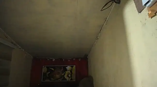 Snapshot of Alwinafox chatting on January 2025 01:15:01 AM Alwinafox online show from January 2025 01:15:01 AM