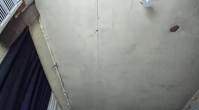 Snapshot of Alwinafox chatting on February 2025 08:09:02 PM Alwinafox online show from February 2025 08:09:02 PM