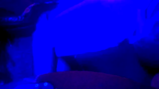 Crystalbitchx online show from October 2025 04:47:01 PM