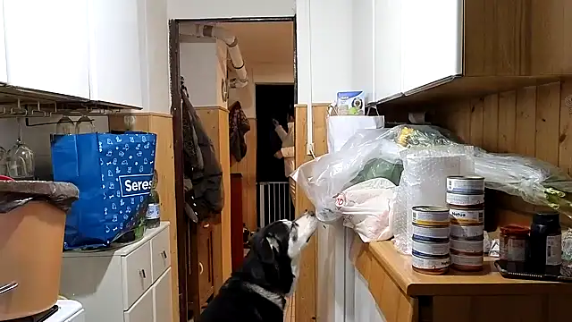 VanessaDoyle online show from February 2026 06:21:01 PM