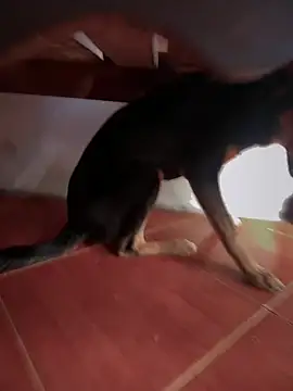 sweet morbid hot online show from November 2025 06:52:01 PM