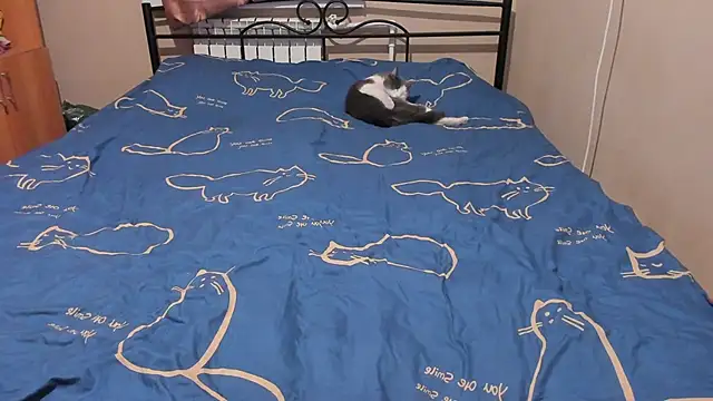 eva zero online show from December 2025 03:06:02 PM