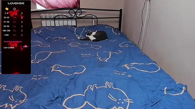 eva zero online show from November 2025 11:36:02 AM