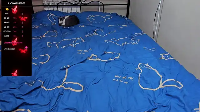 eva zero online show from October 2025 02:36:02 PM