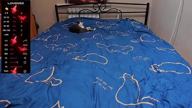 eva zero online show from October 2025 03:36:02 PM