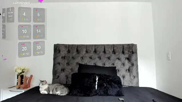 sweet  wild online show from February 2026 08:19:01 PM