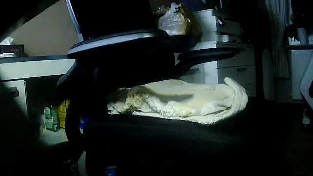 suedel65 online show from February 2026 02:29:01 AM