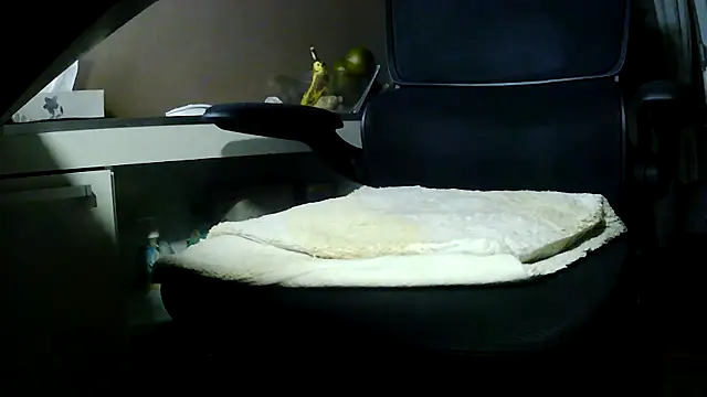 suedel65 online show from January 2026 03:13:02 AM