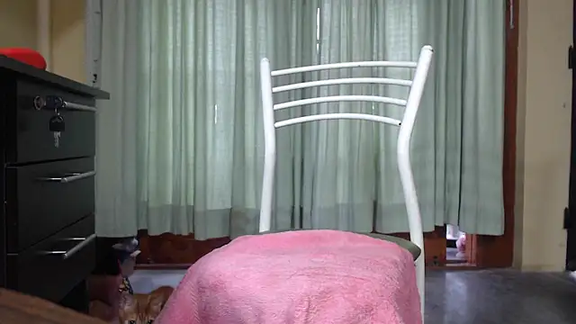 gatitas traviesas online show from April 2026 11:57:01 AM