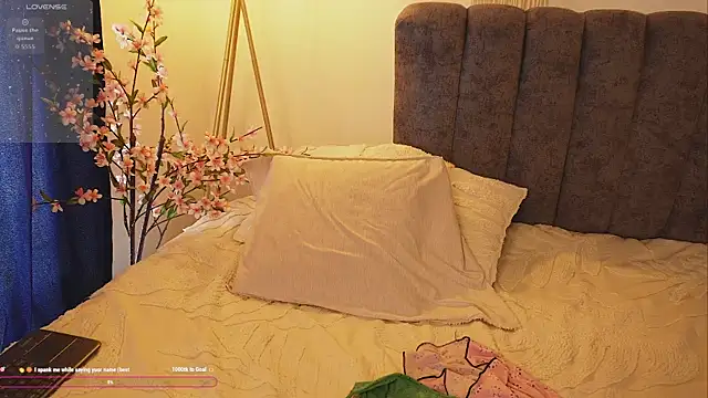 bunnycuteshy online show from October 2025 02:42:02 PM