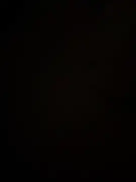 dingoding online show from May 2026 03:43:02 AM