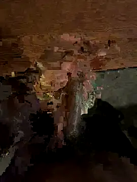 Snapshot of dingoding chatting on October 2025 06:59:01 AM dingoding online show from October 2025 06:59:01 AM