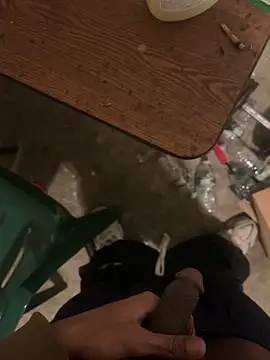 dingoding online show from March 2026 11:22:02 PM