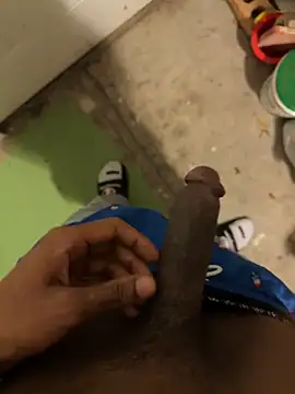 dingoding online show from May 2026 02:48:02 AM