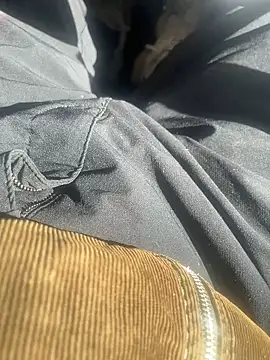 Snapshot of dingoding chatting on February 2025 03:10:01 PM dingoding online show from February 2025 03:10:01 PM