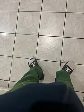 Snapshot of dingoding chatting on March 2025 02:25:01 AM dingoding online show from March 2025 02:25:01 AM