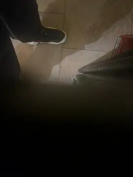 Snapshot of dingoding chatting on January 2025 04:44:02 AM dingoding online show from January 2025 04:44:02 AM