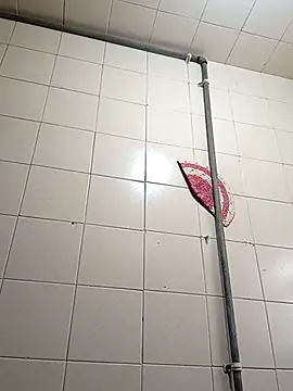 kelly dirty  online show from April 2026 04:46:01 PM