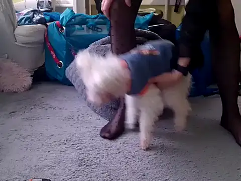 feathersify online show from February 2026 08:02:02 AM