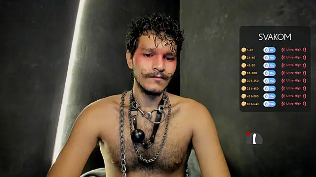 die mond online show from November 2025 05:00:02 AM