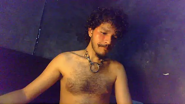 die mond online show from May 2026 06:51:02 AM
