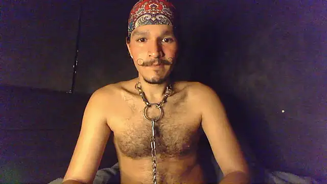 die mond online show from March 2026 05:51:02 AM