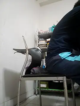 ksshp9502 online show from November 2025 03:38:01 PM