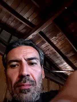 Anarchy Burger online show from May 2026 11:11:02 PM