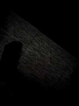 tamil202 online show from November 2025 01:28:01 AM