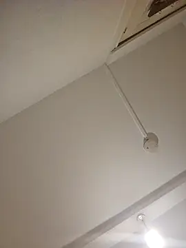 Snapshot of mario890605 chatting on December 2024 09:36:02 PM mario890605 online show from December 2024 09:36:02 PM