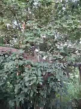 Snapshot of Rinku5553 chatting on September 2025 02:07:01 AM Rinku5553 online show from September 2025 02:07:01 AM