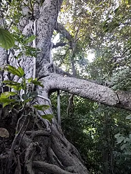 Snapshot of Rinku5553 chatting on November 2025 02:38:02 AM Rinku5553 online show from November 2025 02:38:02 AM