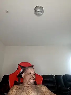 yellowwetfox online show from February 2026 03:12:02 PM