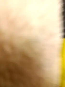 yellowwetfox online show from March 2026 10:55:01 PM