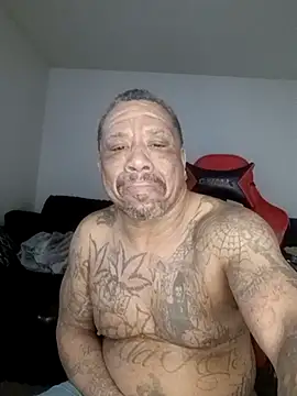 yellowwetfox online show from February 2026 02:17:02 PM