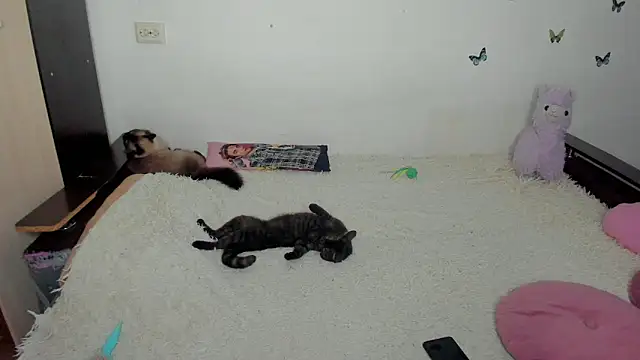 NataliEvans online show from June 2026 10:15:01 PM