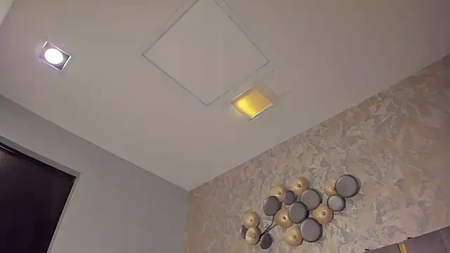 SebastianMaximoff online show from November 2025 07:17:02 PM