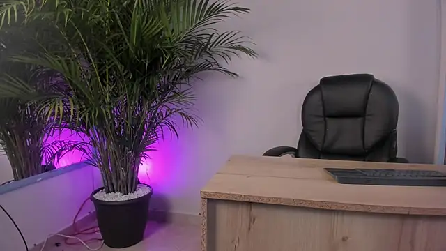 ale cam online show from February 2026 01:21:02 PM