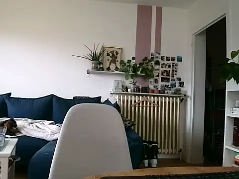 Snapshot of Simon-tem chatting on February 2026 01:40:01 PM Simon-tem online show from February 2026 01:40:01 PM