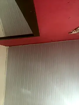 pimenta gaby online show from November 2025 12:28:02 PM